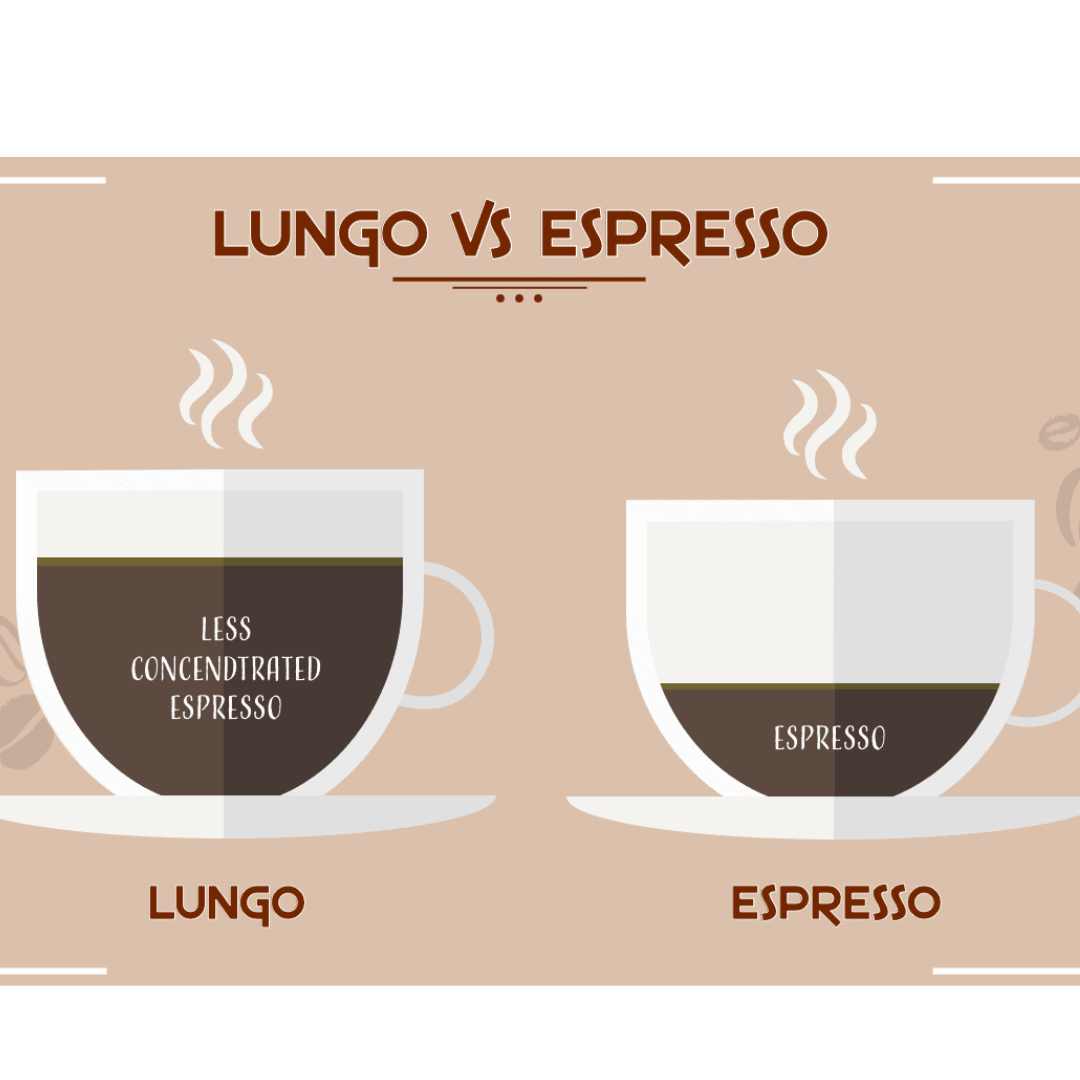 Lungo vs Espresso. Whats The Difference And Which Is Better?